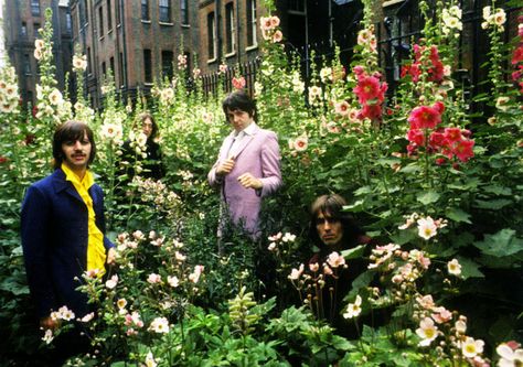 St. Pancras Flower bed, King's Cross, London Rolling Stones, A Garden, The Beatles, Flowers, Pink, White