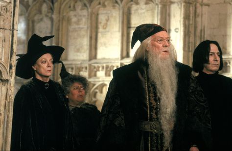 Minerva McGonagall, Pomona Sprout, Albus Dumbledore and Severus Snape in Harry Potter and the Chamber of Secrets. Quiz Harry Potter, Hogwarts Professors, Minerva Mcgonagall, Harry Potter Quiz, Richard Harris, Harry Potter Severus Snape, Severus Rogue, Images Harry Potter, Ron And Hermione