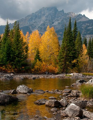 Mountain Stream Photography, Jenny Lake, Lake Reflection, Adventure Trips, Scenic Pictures, Autumn Lake, Scenery Pictures, Aspen Trees, Autumn Scenes