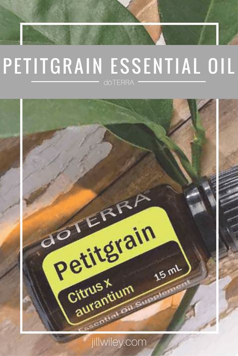 Petitgrain Essential Oil Nucleus Accumbens, Petitgrain Essential Oil, Health Practices, Nerve Damage, Health Management, Bitter Orange, Orange Tree, Long History, Doterra Essential Oils