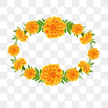 Marigold Flower Decoration, Marigold Wreath, Marigold Decor, Flower For Decoration, Watercolor Flower Wreath, Flower Png Images, Orange Plant, Wreath Flower, Border Png