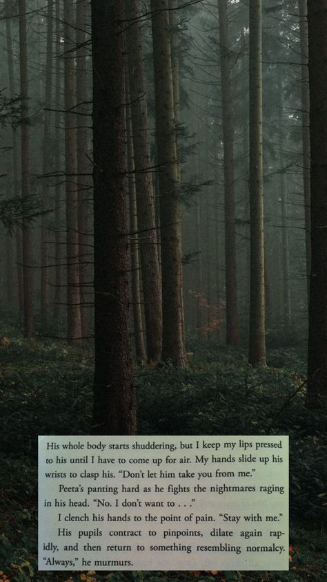 #vibes #nature #wallpaper hunger games 🌿🌱 Hunger Games Poster, Hunger Games Wallpaper, Games Wallpaper, Hunger Games Quotes, Hunger Games Fandom, Katniss And Peeta, Game Background, Forest Wallpaper, Game Pictures