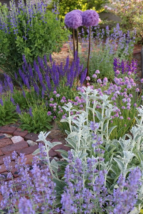 English Inspired Garden Tour – Megan Miller Planting A Garden, Megan Miller, Purple Plants, Purple Garden, English Cottage Garden, Rock Garden Landscaping, Trial And Error, Garden Landscape Design, Plant Combinations