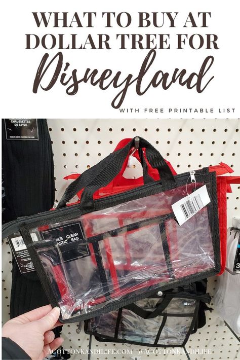 Dollar Store Disney Trip, Disney Gift Bags For Trip, Best Bag For Disneyland, Disney Swag Bag Ideas, Disney Goodie Bags For Trip, Disneyland Basket Ideas, Dollar Tree Disney World Prepping, Disney Trip Gift Basket, What To Put In A Disney Surprise Bag