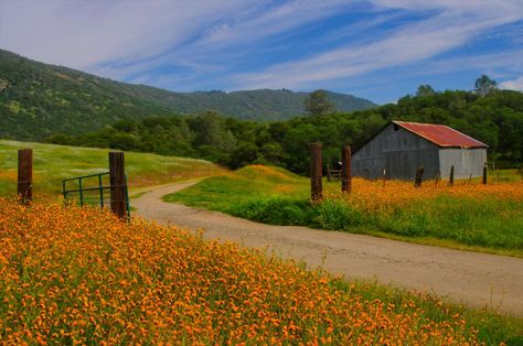 California Countryside, California Wildflowers, Red Bluff, California Landscape, Canyon Road, Table Mountain, Central Valley, Mountain Trails, Valley View