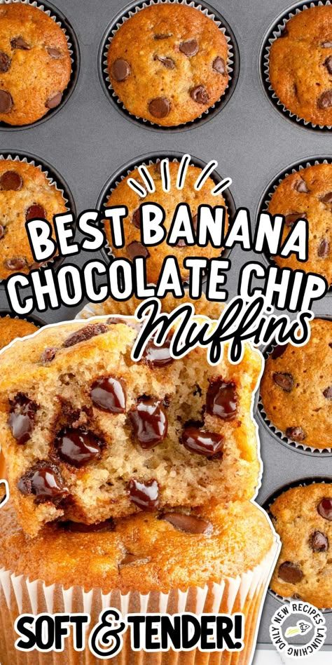 You will love the bursts of chocolate chips and delicious banana flavor in these banana chocolate chip muffins. Banana Chocolate Chip Recipes Muffins, One Bowl Banana Chocolate Chip Muffins, Nana Chocolate Chip Muffins, Banana Chocolate Chip Muffins 3 Bananas, Bana Chocolate Chip Muffins, Homemade Banana Chocolate Chip Muffins, Simple Banana Chocolate Chip Muffins, Banana Chocolate Chip Muffins 2 Bananas, Banana Muffins 3 Bananas