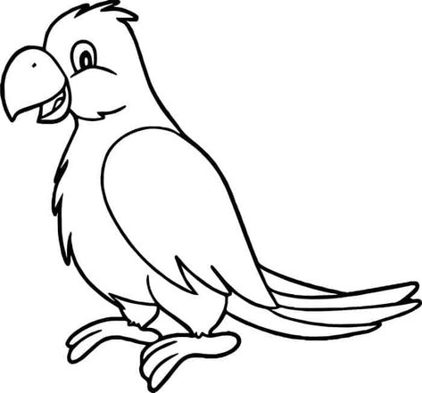 Printable Coloring Pages Parrot, from Animal Coloring Pages topics #coloring #coloringpages #printable Parrot Reference, Birds Types, Science Coloring Pages, Jungle Coloring Pages, Parrot Cartoon, Coloring Template, Birds Coloring Pages, Parrot Drawing, Bird Coloring