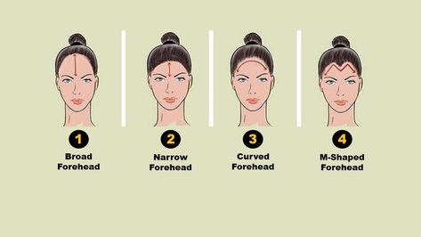 Personality Test: Your Forehead Shape Reveals Your Hidden Personality Traits Narrow Forehead, Broad Forehead, Intelligence Quotient, Holding Grudges, Face Reading, Big Forehead, Mentally Strong, Something About You, Personality Test