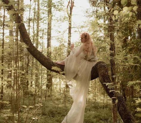 Fairy Core Aesthetic, Era Victoria, Fairy Photoshoot, Crooked Tree, Vsco Nature, Fairytale Aesthetic, Forest Wood, Fairycore Aesthetic, Fotografi Digital