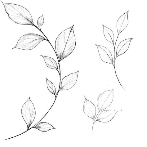 Blatt Tattoos, Vine Drawing, 심플한 그림, Minimal Tattoo Design, Floral Logo Design, Vine Tattoos, Plant Tattoo, Leaf Drawing, Flower Sketches