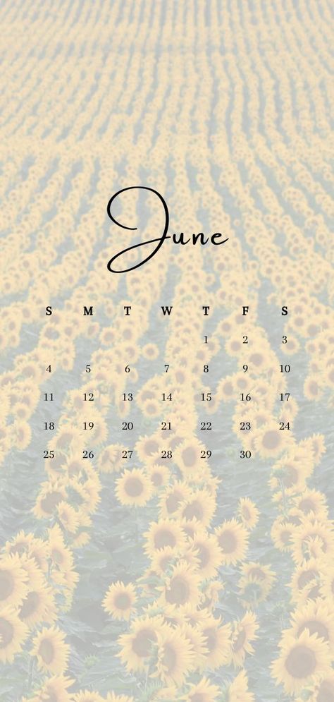 June Wallpaper, Calendar Background, Wallpaper 2023, Calendar June, Hello June, Bullet Journal Paper, Calendar Wallpaper, Summer Backgrounds, Ocean Wallpaper