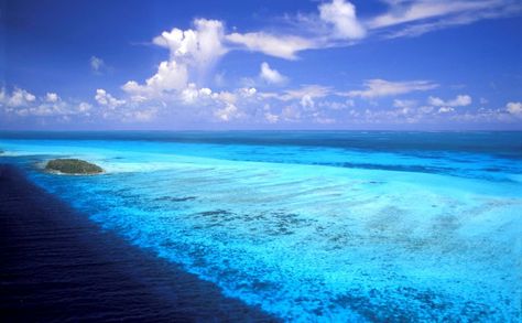 Menelusuri Los Roques, Perairan Terindah di Venezuela yang Disebut Mirip Segitiga Bermuda , Laut Karibia dan sekitarnya pada umumnya dikenal sebagai wilayah yang tenang. Tapi tidak demikian dengan Los Roques, perairan yang misterius , https://www.dailysia.com/menelusuri-los-roques-perairan-terindah-di-venezuela-yang-mirip-segitiga-bermuda/ Venezuela Wallpaper, Anime Summer, Nature Hd, Widescreen Wallpaper, Travel Wallpaper, Full Hd Wallpaper, Summer Backgrounds, Ocean Wallpaper, Beach Wallpaper