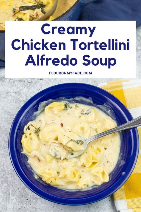 Alfredo Soup Tortellini, Alfredo Tortellini Soup, Tortellini Alfredo Soup, Alfredo Soup, Chicken Alfredo Tortellini Soup, Chicken Alfredo Soup, Fetuccini Alfredo, Tortellini Alfredo, Chicken Soup Crockpot