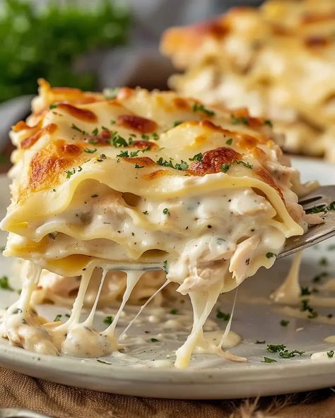 Creamy White Cheese Chicken Lasagna - Recipes Smile Creamy White Chicken Lasagna, White Lazy Lasagna, Easy Chicken Lasagna Recipe, Creamy Chicken Lasagna, Lasagna With White Sauce, White Lasagna Recipe, Chicken Alfredo Lasagna Recipe, Creamy Lasagna, White Chicken Lasagna