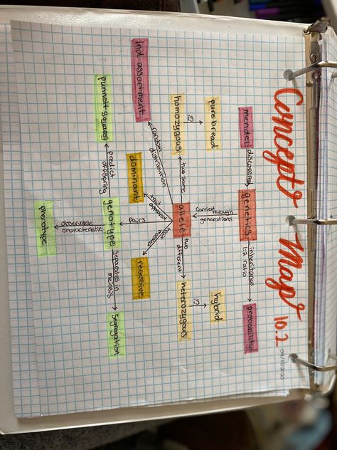 Punnet Square Notes, Biology Concept Map, Graphic Organizer Aesthetic, Genotype And Phenotype, School Study Notes, High School Freshman, Diagram Graphic, School Biology, Map Diagram