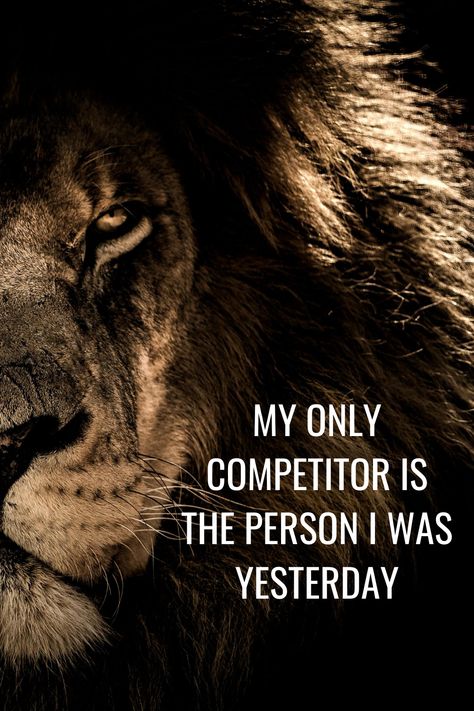 Lion Mentality, Lions Quotes, Beverage Trailer, Lion Quote, Motivational Qoute, Stand Out Quotes, Lion Motivation, Inspirational Animal Quotes, Good Morning Handsome Quotes