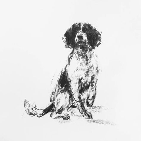 Dog Drawing Black And White, Ink Dog Drawing, Pen Dog Drawing, Dog Scribble Art, Charcoal Pet Portrait, Dog Portraits Art, Dog Sketch, Charcoal Art, Arte Inspo