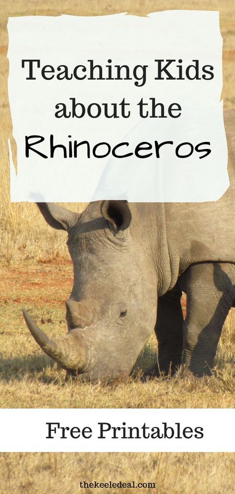 Teaching Kids about the Rhinoceros Free Printables #mylittlebook #rhino #animal #preschool Rhino Activities Preschool, Animal Preschool, Free Kids Printables, Safari Crafts, Kids Educational Activities, Rhino Animal, Activities Wedding, Zoo Activities, Free Preschool Printables