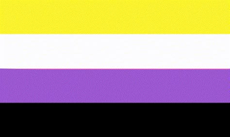 Non Binary Flag, Non Binary, The Flag, Flag, Rainbow, Yellow, White, Black