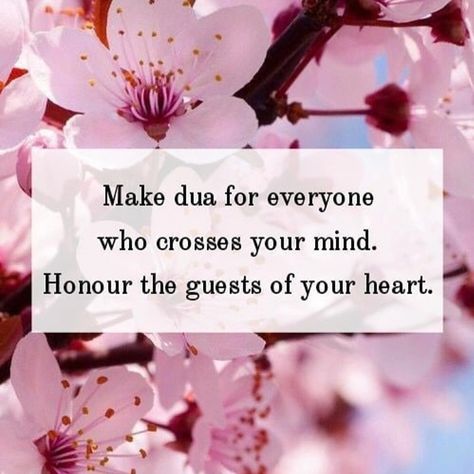 Make dua for everyone who crosses your mind. Honour the guests of your heart.❤️ Dua For Everyone, Jumma Mubarak Quotes, Birthday Girl Quotes, Short Islamic Quotes, Best Islamic Quotes, Islamic Quotes Wallpaper, Jumma Mubarak, Beautiful Islamic Quotes, Islamic Inspirational Quotes