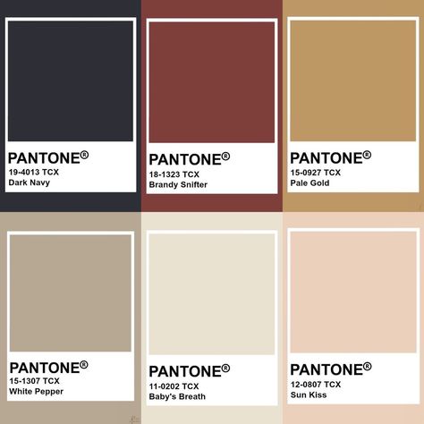 Study Color Palette, Old Money Colour Palette, Old Money Color Palette, Wabi Sabi Color Palette, Coffee Color Palette, Wabi Sabi Color, Dark Academia Color Palette, Dark Academia Color, Pantone Color Chart