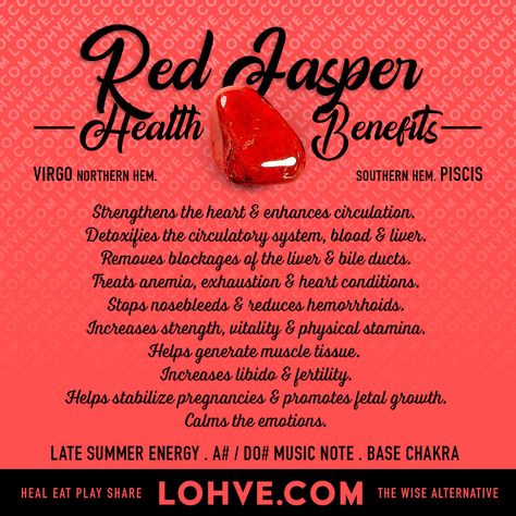 Red Jasper Benefits, The Endocrine System, Gall Bladder, Summer Energy, Amethyst Healing, Silicate Minerals, Spiritual Crystals, Crystal Therapy, Endocrine System