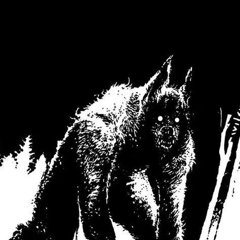 Human Werewolf Art, Punk Werewolf, Werewolves Aesthetic, Werewolf Aesthetic Male, Werewolf Aesthetic Dark, Werewolf Concept Art, Werewolf Core, Wolf Cryptid, Werewolf Character Design