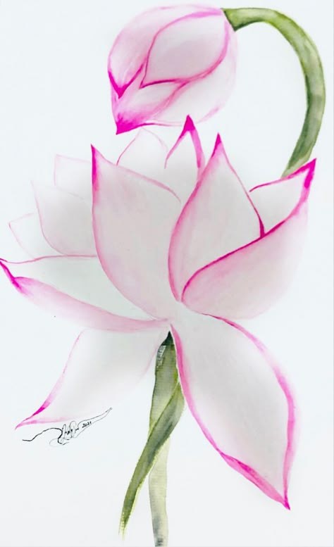 Lotus Flower Art Watercolor, Lotus Painting Watercolor, Lotus Flower Art Design, Multicolour Painting, Lotus Flower Sketch, Lotus Sketch, Rose Flowers Drawing, Lotus Outline, Lotus Paintings