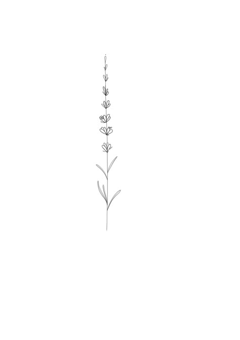 One Line Lavender Tattoo, Flower Spine Tattoos, Lavender Tattoo, Inspiration Tattoos, Plant Tattoo, Line Art Tattoos, Dainty Tattoos, Spine Tattoos, Subtle Tattoos