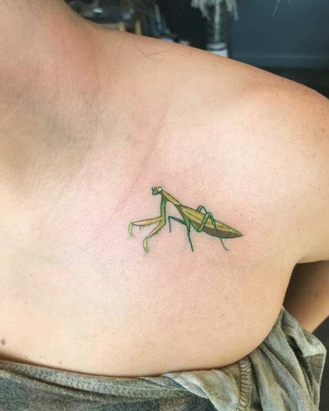 Praying Mantis Wallpaper, Small Praying Mantis Tattoo, Mantis Tattoo Design, Praying Mantis Tattoo, Mantis Tattoo, Elements Tattoo, Bug Tattoo, Insect Tattoo, Floral Sleeve