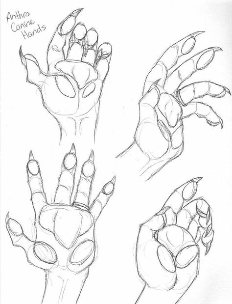 Paw Hand, Body Reference Drawing, Concept Art Drawing, Hand Sketch, Guided Drawing, Figure Drawing Reference, Creature Concept Art, Anatomy Art, Art Tutorials Drawing