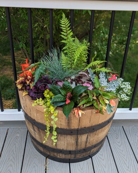 Just take a moment to appreciate this large, round, barrel planter and its rustic charm! Why settle for ordinary when you can elevate your outdoor space with a barrel planter? Whiskey Barrel Planter Ideas Full Sun, Barrel Planter Ideas, Planters For Shade, Whiskey Barrel Planter, Barrel Flowers, Wine Barrel Planter, Planter Arrangements, Cascading Flowers, Barrel Planter