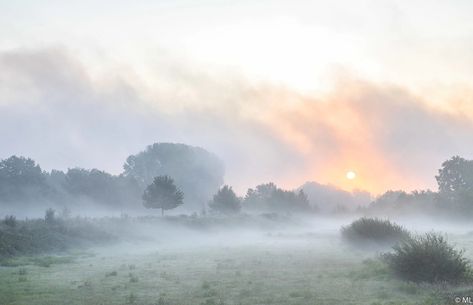 Misty Painting, Hair Inspp, Embroidery Goldwork, Misty Landscape, Morning Landscape, English Landscape, Misty Morning, Fourth Wing, Pretty Photos