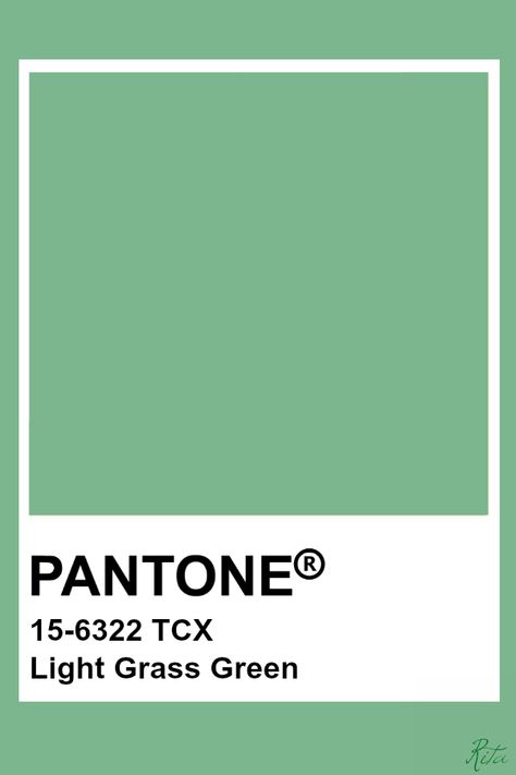 Pantone Light Grass Green Green Pantone, Pantone Green, Pantone Tcx, Pantone Colours, Pantone Color Chart, Pantone Swatches, Pantone Palette, Pantone Colour Palettes, Pantone Colors