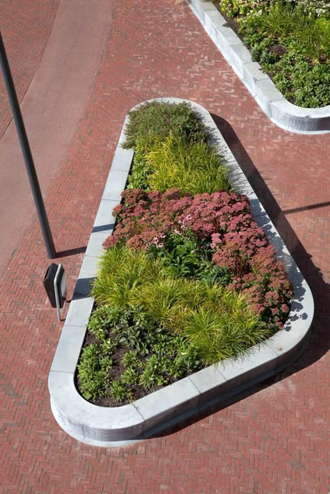 Easy Landscaping, Raised Planter, Landscape Architecture Design, Landscaping Supplies, Urban Furniture, Contemporary Farmhouse, Landscaping Tips, Landscape Projects, Contemporary Landscape