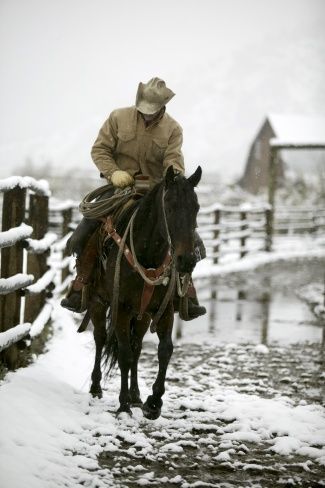 Cowboy Pictures, Real Cowboys, Wilde Westen, Into The West, Cowgirl And Horse, Cowboy Horse, Western Life, Western Riding, Cowboy Art