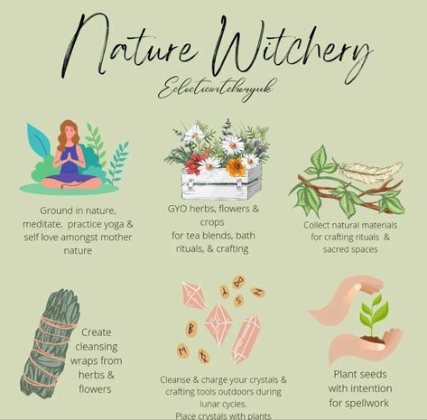 Spring Witchcraft, Creativity Herbs Witchcraft, Self Love Herbs Witchcraft, Herbs And Plants For Witchcraft, Hygge Witch, Plants Used In Witchcraft, Herbs And Flowers Witchcraft, Flower Witch, Witchy Ideas