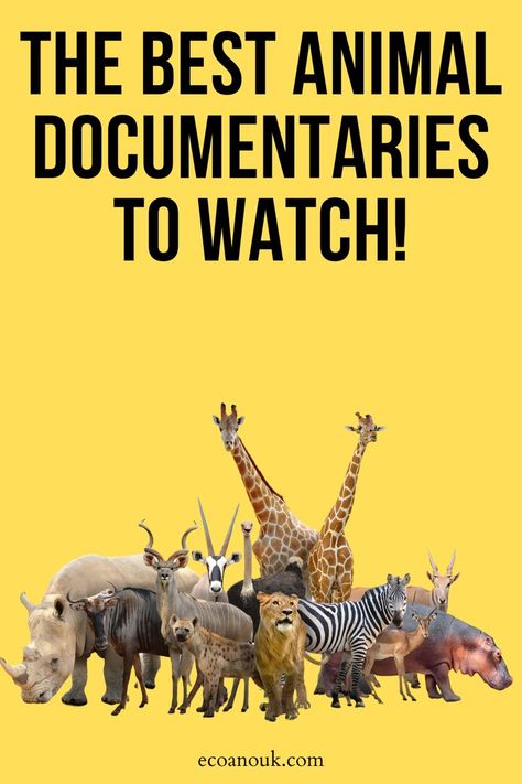 best animal documentaries Eco Friendly Art Projects, Documentaries To Watch, Eco Friendly Art, Open Your Eyes, Wildlife Conservation, The Animals, Have You Seen, Your Eyes, Documentaries