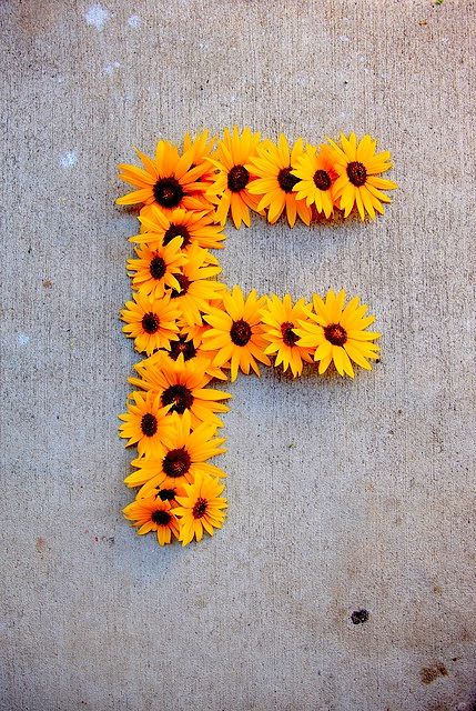 Make flowers into letters DIY Decorating Letters, Sunflower Room, Creative Alphabet, The Letter F, Sunflower Crafts, Sunflower Party, Alphabet Photography, Alphabet Images, Diy Letters