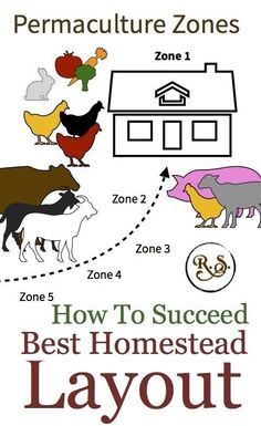 Backyard Permaculture, Homestead Layout, Homesteading Diy, Homestead Farm, Farm Layout, Permaculture Gardening, Permaculture Design, Garden Design Layout, Urban Homesteading