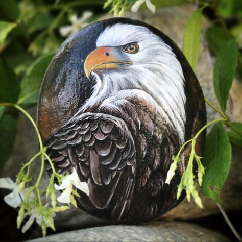 Hand painted Eagle on a rock. By Trinh Baxter #xtrinhx Amazing Realistic Drawings, Eagle Painted Rocks, Eagle Rock Painting, Bird Rock Painting, Rock Animals, Eagle Painting, Painted Rock Animals, Diy Rock Art, Stone Art Painting