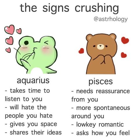 Pisces Aquarius Compatibility, Pisces And Aquarius Relationship, Aquarius Love Language, Pisces Crush, Aquarius X Pisces, Aquarius And Pisces Compatibility, Scorpio Moon Sign, Pisces Sun Sign, Aquarius Relationship