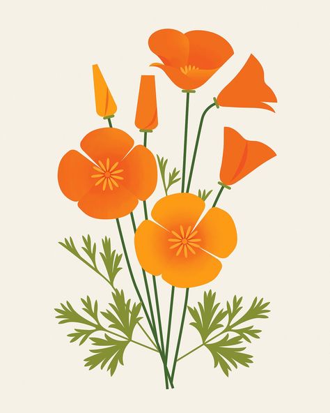 California Poppy Drawing, Flower Colour Palette, Ca Poppy, Plant Keychain, California Poppy Art, Drawing Leaves, Diy Wine Glasses Painted, Coloring Pages Ideas, Poppy Drawing