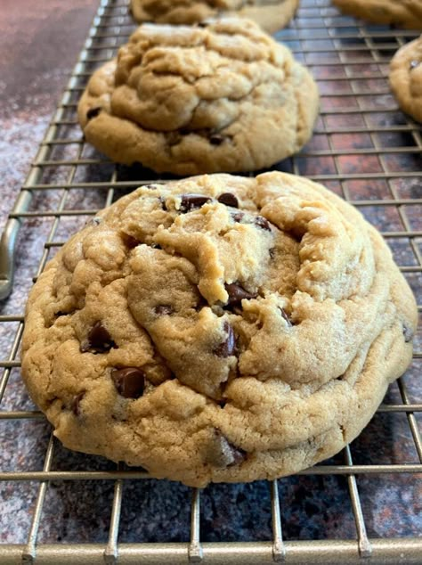 Bakery Style Peanut Butter Chocolate Chip Cookies, Double Peanut Butter Chocolate Chip Cookies, Soft And Chewy Peanut Butter Cookies Recipe, Thick Chewy Peanut Butter Cookies, Peanut Butter Cookies Crisco Recipe, Recipes With Crunchy Peanut Butter, Peanut Butter Chocolate Chip Cookies Soft, Best Peanut Butter Chocolate Chip Cookie, Peanut Butter Chocolate Chunk Cookies