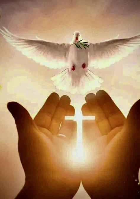 Holly Spirit, Happy Easter Wallpaper, Jesus Love Images, Dove Images, Bible Artwork, Dove Pictures, Christ Artwork, Good Morning Funny Pictures, Large Flower Arrangements