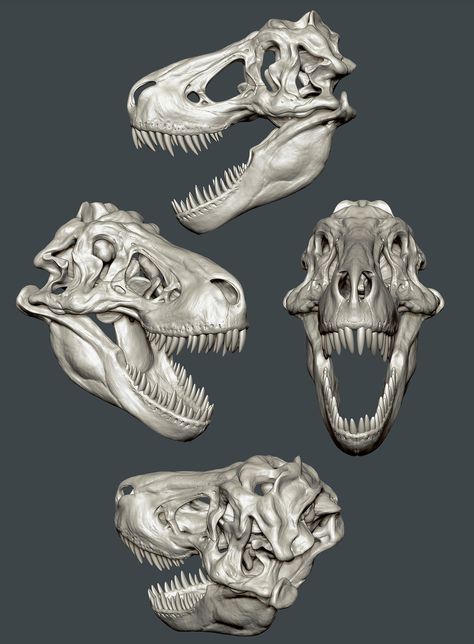 T Rex Skull Illustration, T. Rex Skull, Dinosaur Skull Reference, Trex Skull Drawing, T Rex Skull Drawing, Raptor Skull, Trex Skull, Tyrannosaurus Rex Skull, Dino Skull