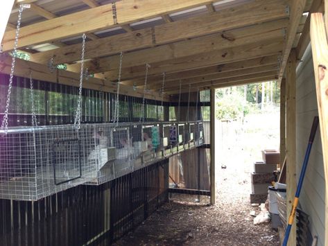 Rabbit Hutch Roof Installed | Sun, Rain, Earth Wire Rabbit Cages, Rabbit Hutch Plans, Rabbit Shed, Rabbit Wire, Raising Rabbits For Meat, Diy Rabbit Hutch, Show Rabbits, Rabbit Pen, Outdoor Rabbit Hutch