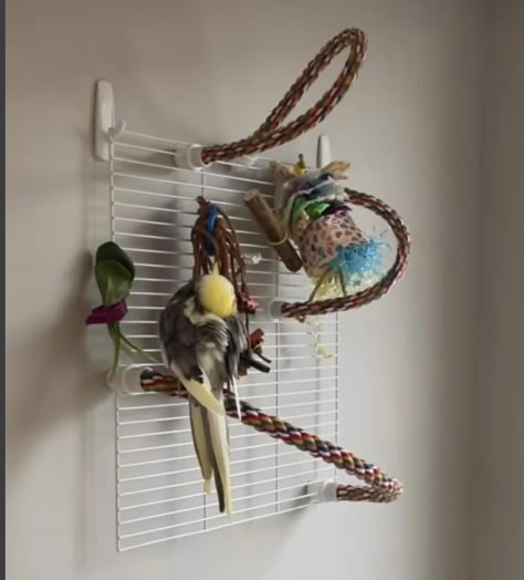 Birds Room Ideas, Bird Perch Ideas, Bird Perch Diy, Diy Perches For Birds, Bird Stands Diy Ideas, Bird Room Ideas Diy, Lovebirds Cage Ideas, Bird Setup, Indoor Bird Room Ideas