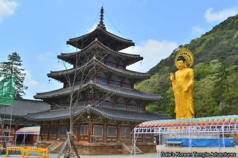 Beopjusa Temple, Korean Temple, White Donkey, Historical Temples, Ancient Korea, Cement Statues, Buddhist Texts, Future Generation, Stone Lantern