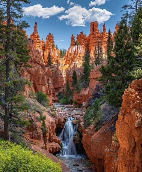 Location Wallpaper, Bryce National Park, Red Canyon, Wallpaper Best, Mountain Landscape Photography, Wallpaper Summer, Best Nature Wallpapers, Best Nature, Bryce Canyon National Park